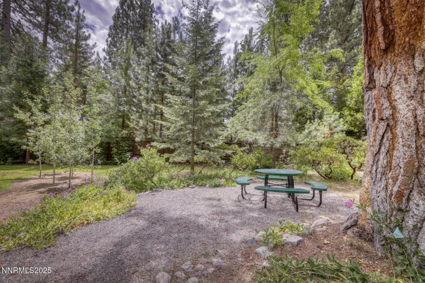 136 Juanita, Incline Village, Nevada 89451, 2 Bedrooms Bedrooms, ,2 BathroomsBathrooms,Residential,Residential,Juanita,250053618