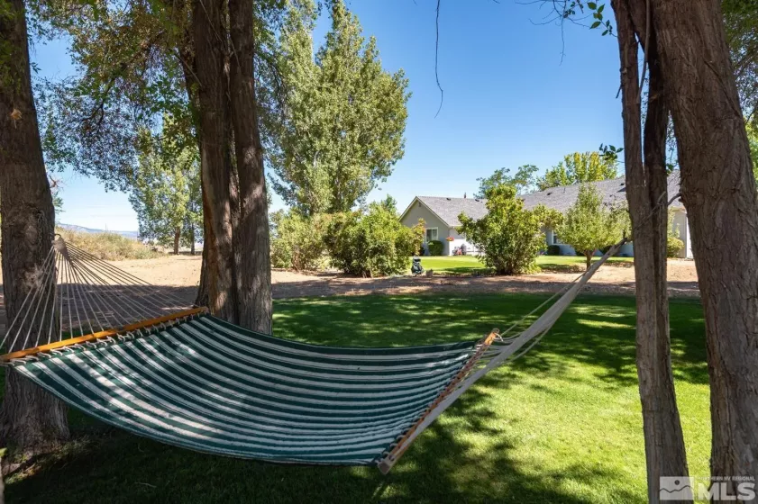 1585 Buckeye, Minden, Nevada 89423, 4 Bedrooms Bedrooms, ,3 BathroomsBathrooms,Residential,Residential,Buckeye,250001826