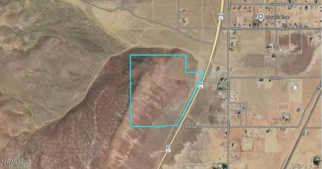 8350 Highway 95A, Silver Springs, Nevada 89429, ,Land,Residential,Highway 95A,250053635