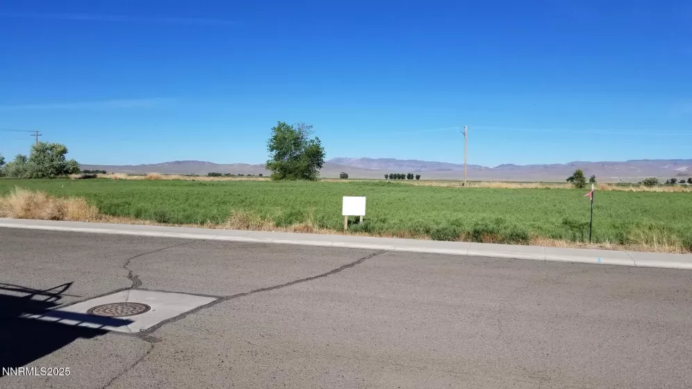 525 Rose, Lovelock, Nevada 89419, ,Land,Residential,Rose,250053640