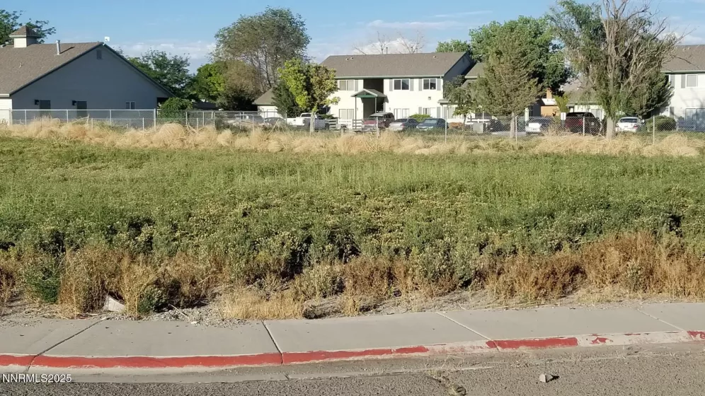 525 Rose, Lovelock, Nevada 89419, ,Land,Residential,Rose,250053640