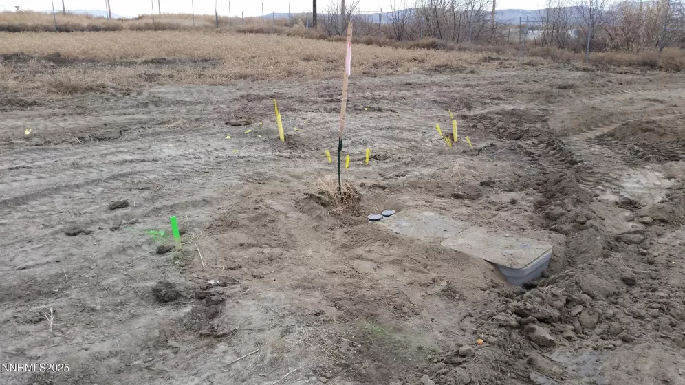 525 Rose, Lovelock, Nevada 89419, ,Land,Residential,Rose,250053640