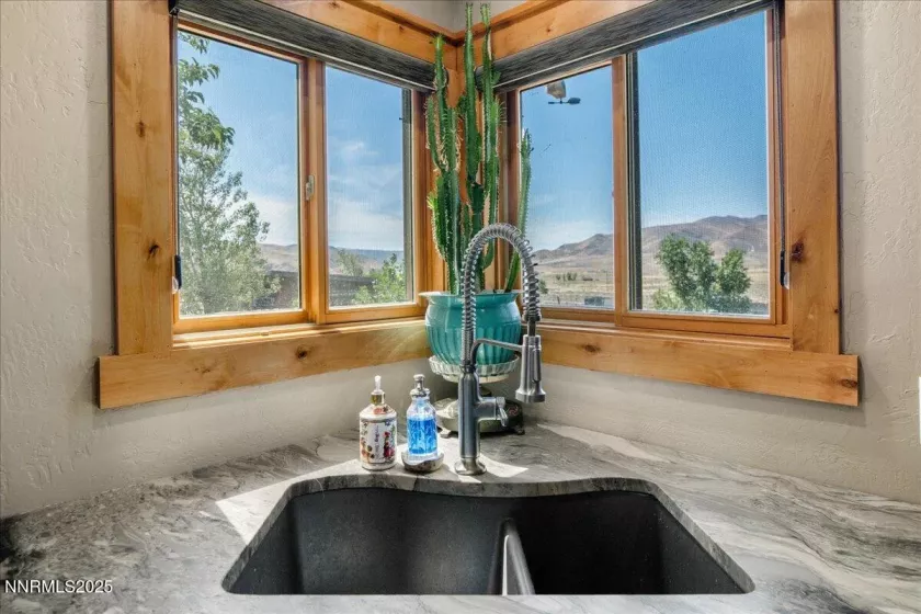 Alder Wood Framed Windows
