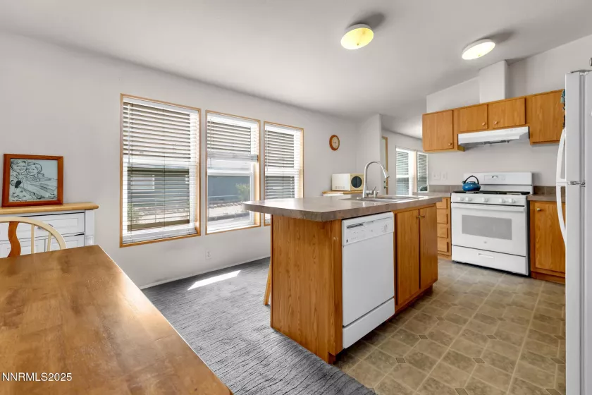 205 Rue De La Chartreuse, Sparks, Nevada 89434, 3 Bedrooms Bedrooms, ,2 BathroomsBathrooms,Residential,Residential,Rue De La Chartreuse,250053671