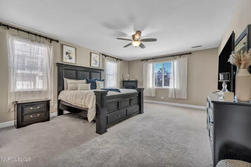 10305 Culiacan Pass, Reno, Nevada 89521, 3 Bedrooms Bedrooms, ,3 BathroomsBathrooms,Residential,Residential,Culiacan Pass,250053674