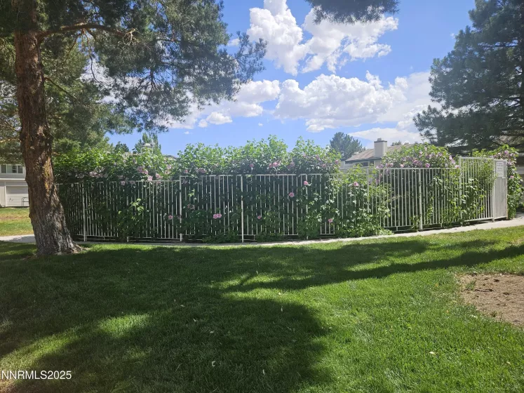 2435 Sycamore Glen, Sparks, Nevada 89434, ,1 BathroomBathrooms,Residential,Residential,Sycamore Glen,250053675