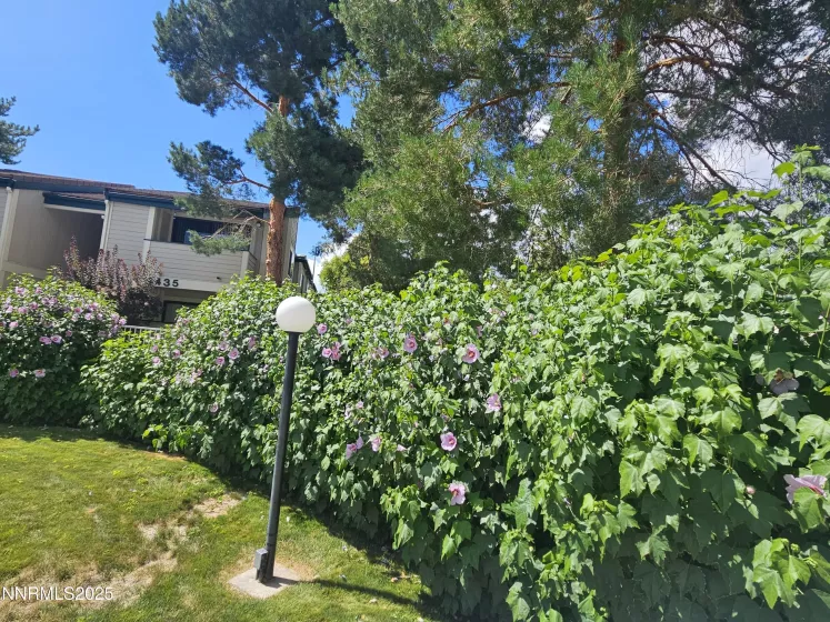 2435 Sycamore Glen, Sparks, Nevada 89434, ,1 BathroomBathrooms,Residential,Residential,Sycamore Glen,250053675