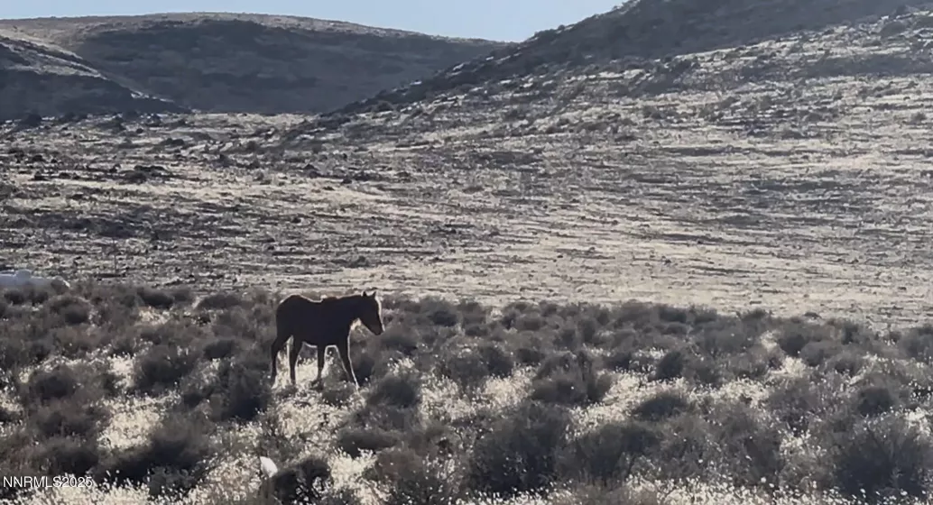 9325 Western, Stagecoach, Nevada 89429, ,Land,Residential,Western,250053720