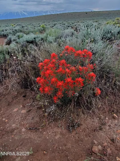 3303 High Rock, Gerlach, Nevada 89412, ,Land,Residential,High Rock,250053730
