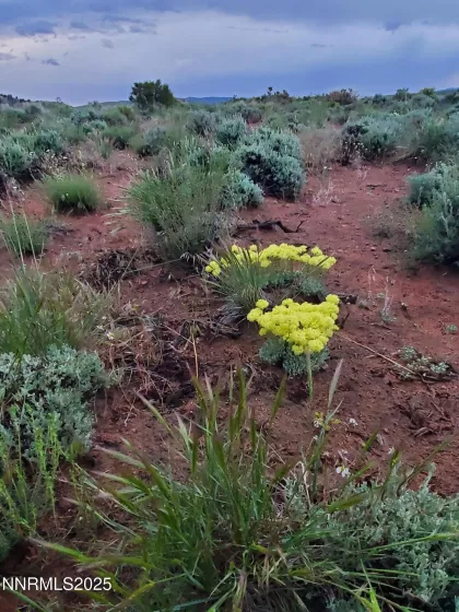 3303 High Rock, Gerlach, Nevada 89412, ,Land,Residential,High Rock,250053730