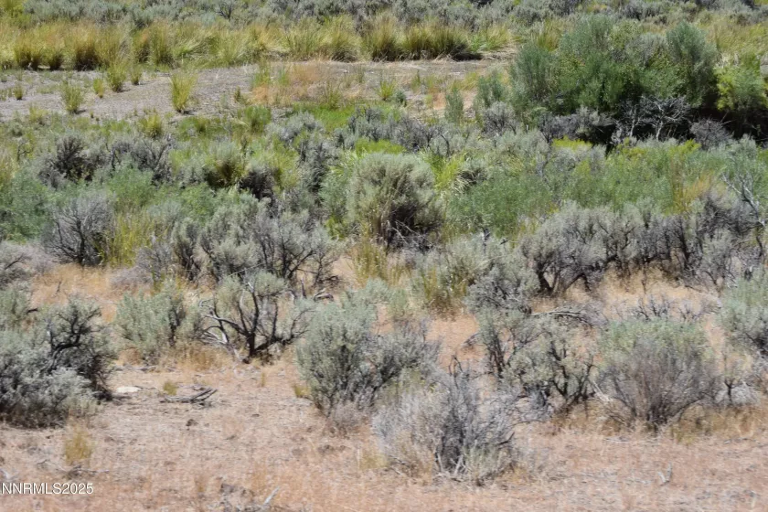 3303 High Rock, Gerlach, Nevada 89412, ,Land,Residential,High Rock,250053730