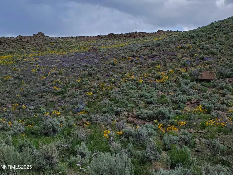 3303 High Rock, Gerlach, Nevada 89412, ,Land,Residential,High Rock,250053730