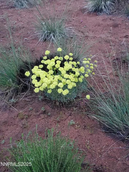 3303 High Rock, Gerlach, Nevada 89412, ,Land,Residential,High Rock,250053730