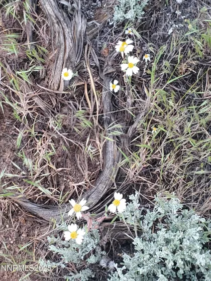 3303 High Rock, Gerlach, Nevada 89412, ,Land,Residential,High Rock,250053730