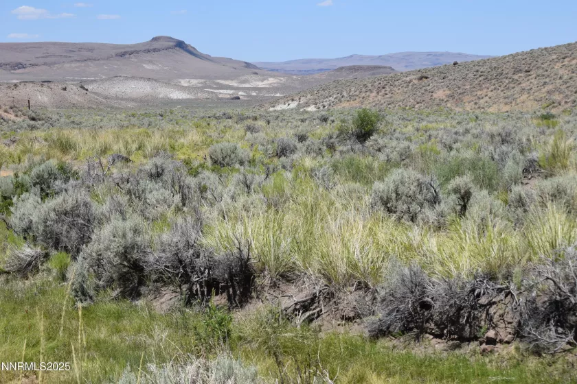 3304 High Rock Road, Gerlach, Nevada 89412, ,Land,Residential,High Rock Road,250053733