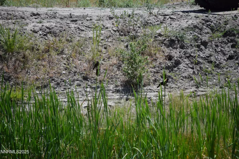 3304 High Rock Road, Gerlach, Nevada 89412, ,Land,Residential,High Rock Road,250053733