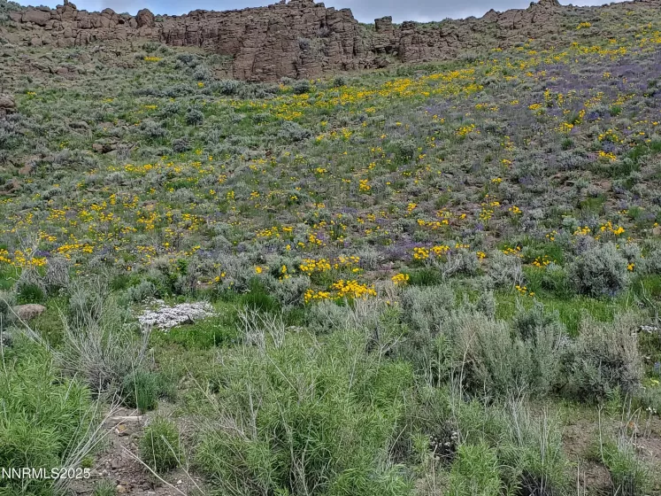 3304 High Rock Road, Gerlach, Nevada 89412, ,Land,Residential,High Rock Road,250053733