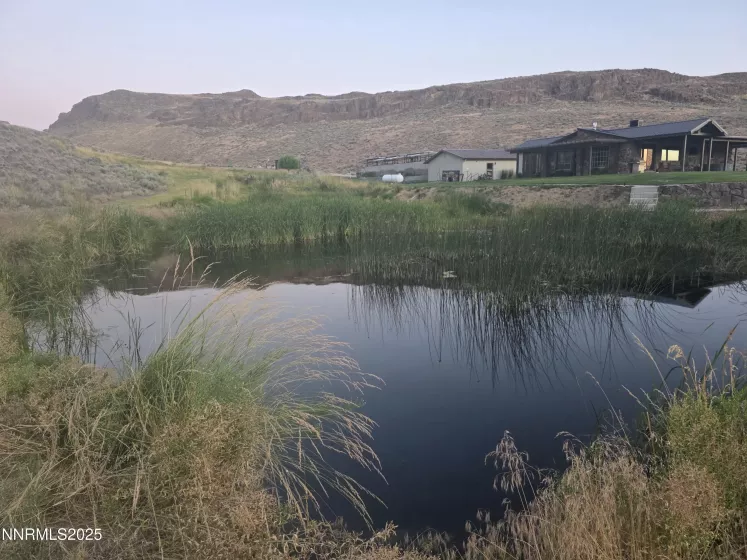 Spring fed pond with bass
