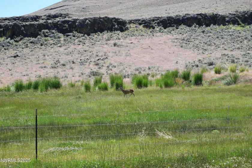 3305 High Rock, Gerlach, Nevada 89412, ,Land,Residential,High Rock,0,250053752