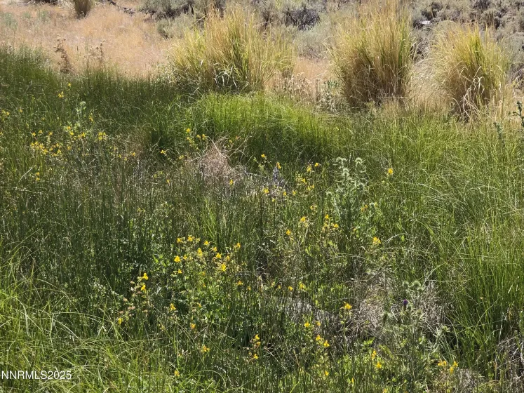 3305 High Rock, Gerlach, Nevada 89412, ,Land,Residential,High Rock,0,250053752