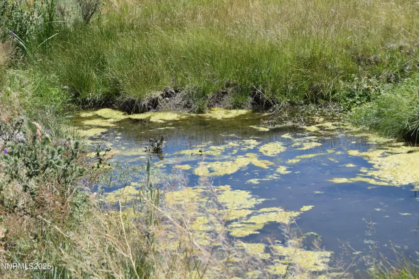 3306 High Rock Road, Gerlach, Nevada 89412, ,Land,Residential,High Rock Road,250053754