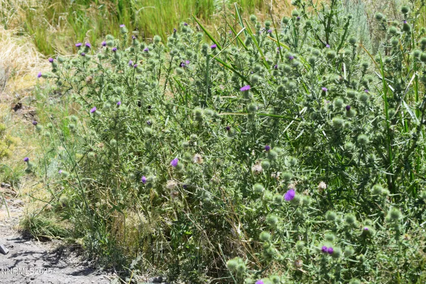 3306 High Rock Road, Gerlach, Nevada 89412, ,Land,Residential,High Rock Road,250053754