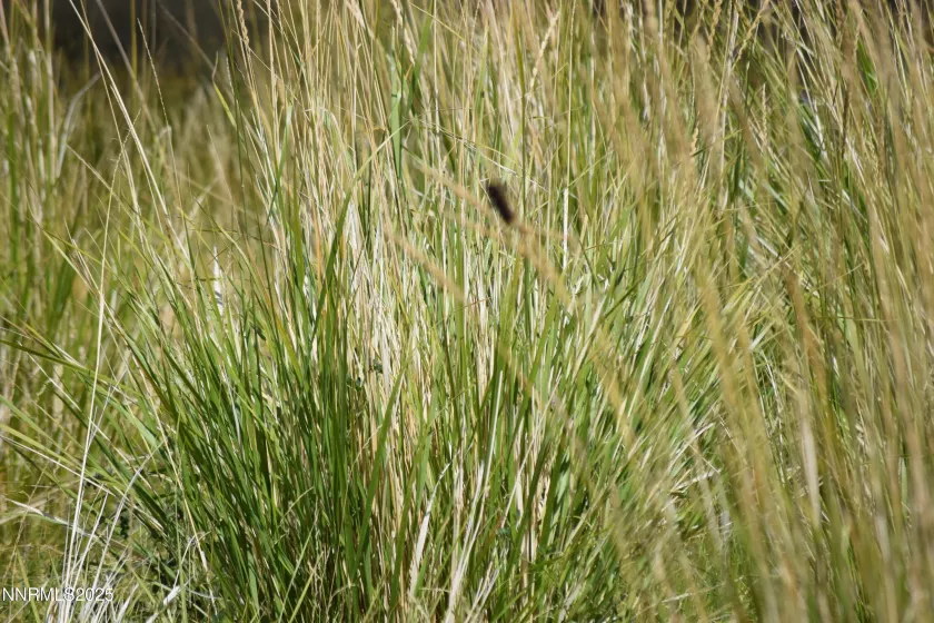 3306 High Rock Road, Gerlach, Nevada 89412, ,Land,Residential,High Rock Road,250053754