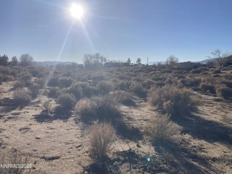 310 Ophir, Dayton, Nevada 89403, ,Land,Residential,Ophir,250053761