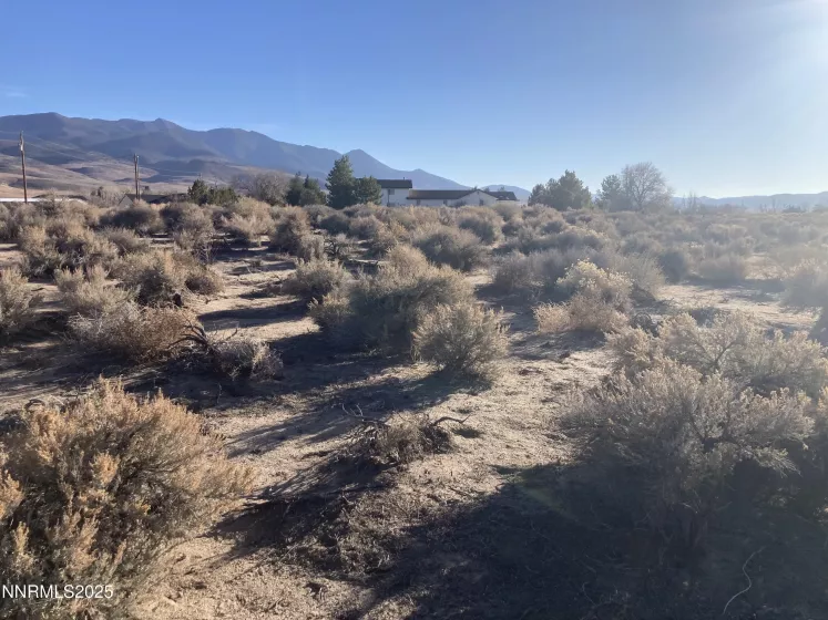 310 Ophir, Dayton, Nevada 89403, ,Land,Residential,Ophir,250053761