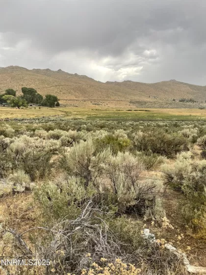 14185 Chariot, Reno, Nevada 89508, ,Land,Residential,Chariot,250053774