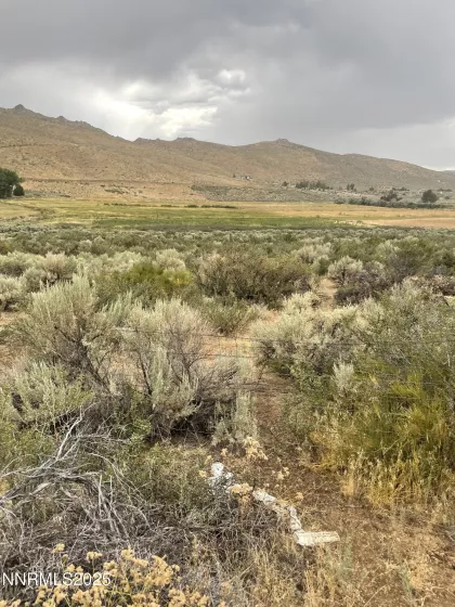 14185 Chariot, Reno, Nevada 89508, ,Land,Residential,Chariot,250053774