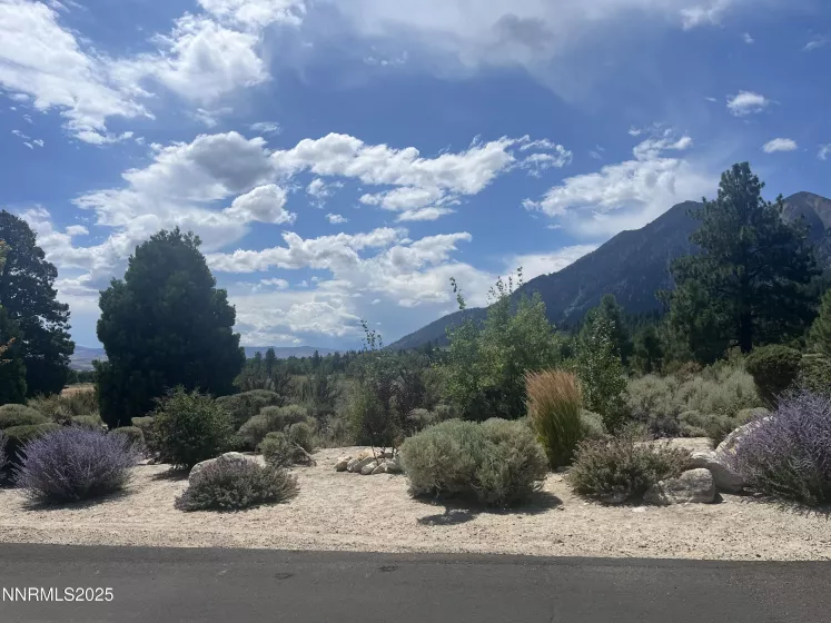 233 Sierra Country, Gardnerville, Nevada 89460, ,Land,Residential,Sierra Country,250053857