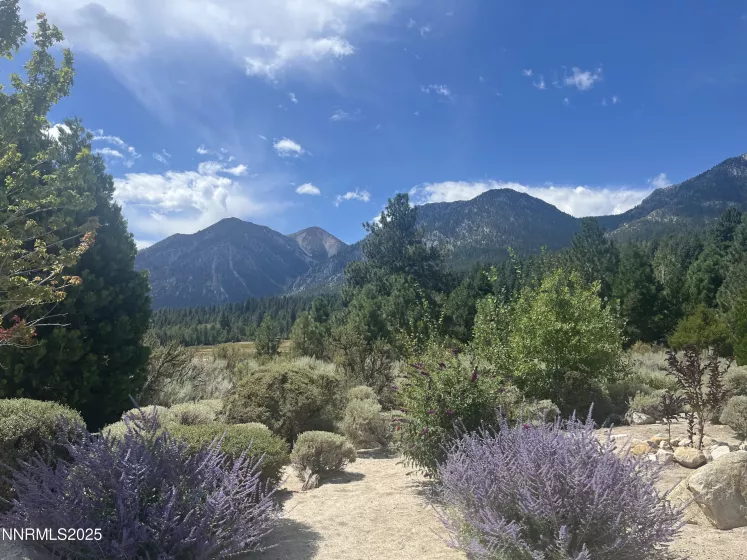 233 Sierra Country, Gardnerville, Nevada 89460, ,Land,Residential,Sierra Country,250053857