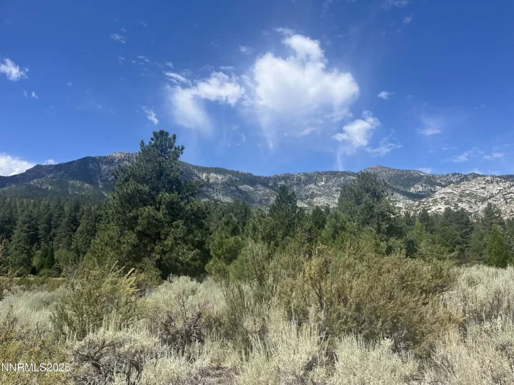 233 Sierra Country, Gardnerville, Nevada 89460, ,Land,Residential,Sierra Country,250053857