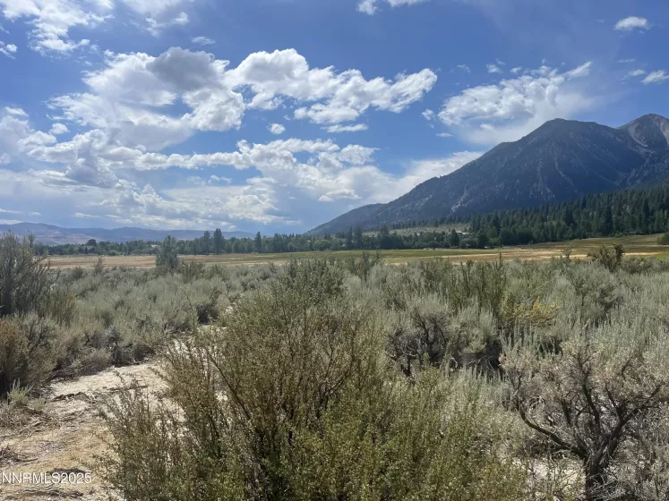 233 Sierra Country, Gardnerville, Nevada 89460, ,Land,Residential,Sierra Country,250053857