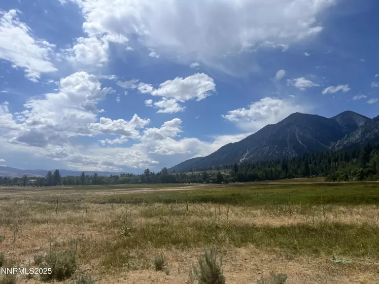 233 Sierra Country, Gardnerville, Nevada 89460, ,Land,Residential,Sierra Country,250053857