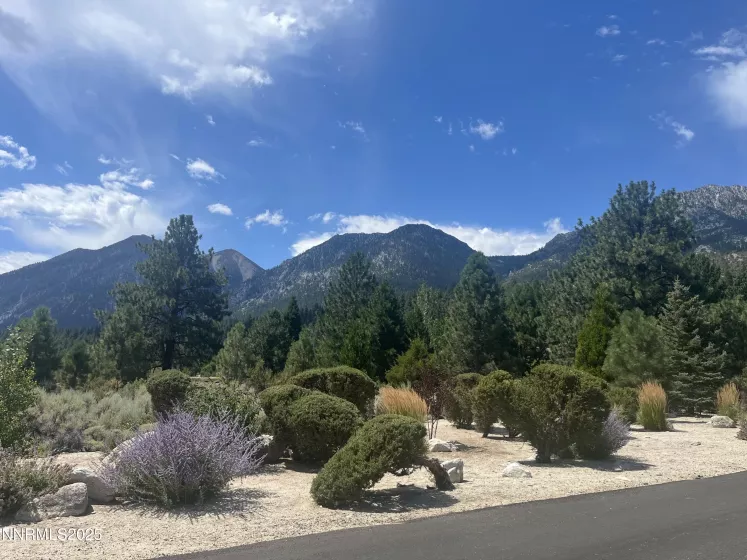 233 Sierra Country, Gardnerville, Nevada 89460, ,Land,Residential,Sierra Country,250053857