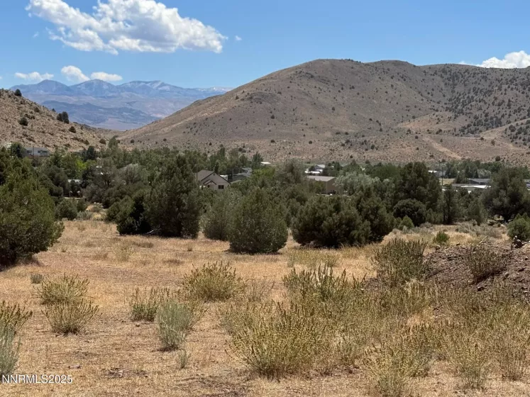1400 Breccia, Gardnerville, Nevada 89444, ,Land,Residential,Breccia,250053903