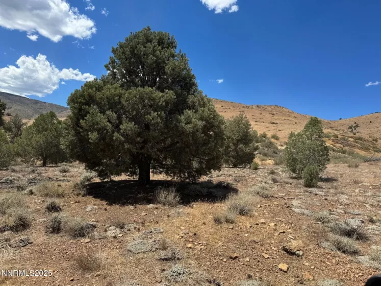 1400 Breccia, Gardnerville, Nevada 89444, ,Land,Residential,Breccia,250053903