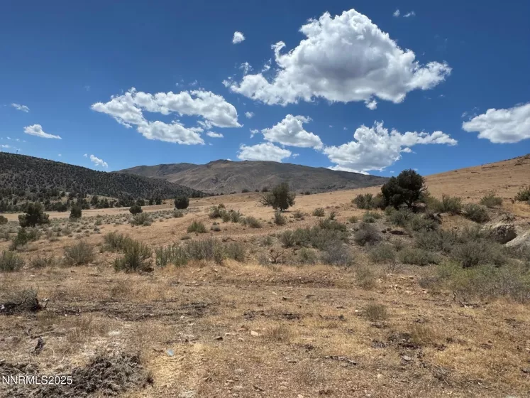1400 Breccia, Gardnerville, Nevada 89444, ,Land,Residential,Breccia,250053903