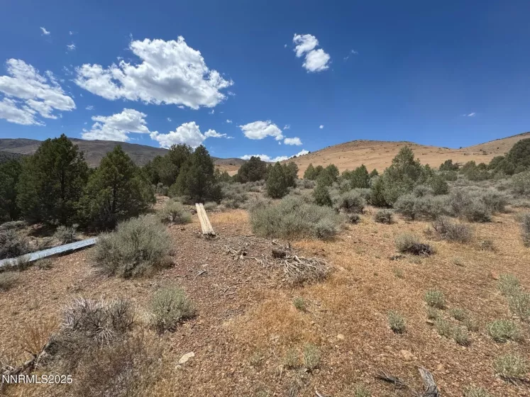 1400 Breccia, Gardnerville, Nevada 89444, ,Land,Residential,Breccia,250053903