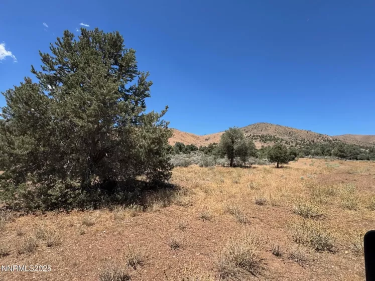 1400 Breccia, Gardnerville, Nevada 89444, ,Land,Residential,Breccia,250053903
