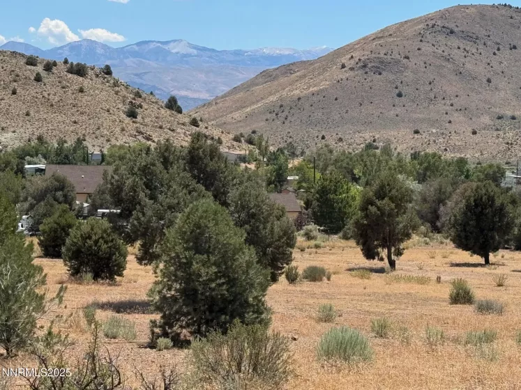 1400 Breccia, Gardnerville, Nevada 89444, ,Land,Residential,Breccia,250053903