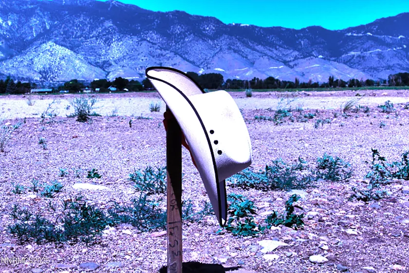 1112 Wyatt, Gardnerville, Nevada 89460, ,Land,Residential,Wyatt,250053908