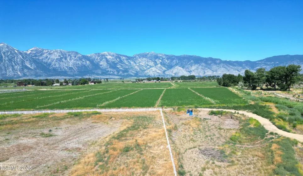 1112 Wyatt, Gardnerville, Nevada 89460, ,Land,Residential,Wyatt,250053908