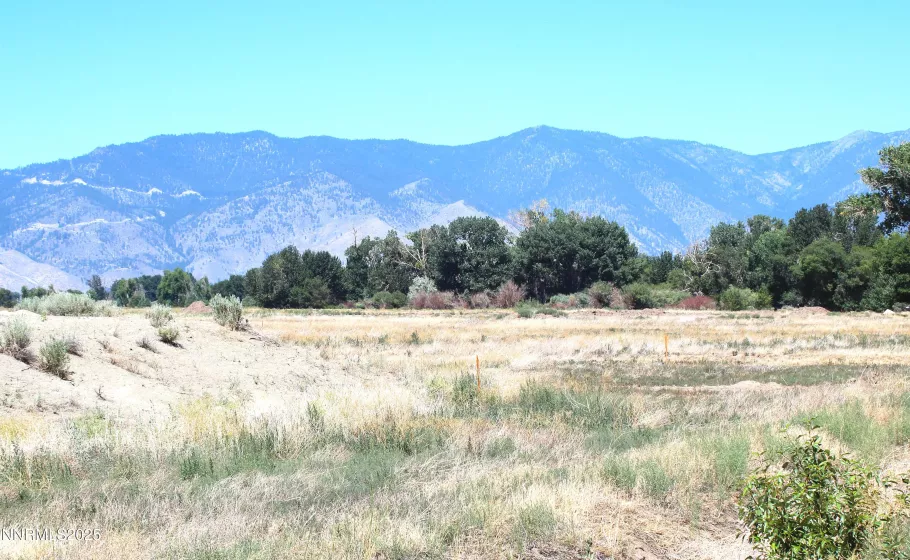 1112 Wyatt, Gardnerville, Nevada 89460, ,Land,Residential,Wyatt,250053910
