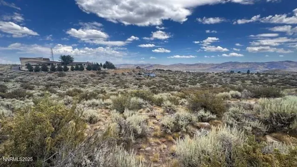 0 Mountain Daisy Rd, Reno, Nevada 89511, ,Land,Residential,Mountain Daisy Rd,250053932