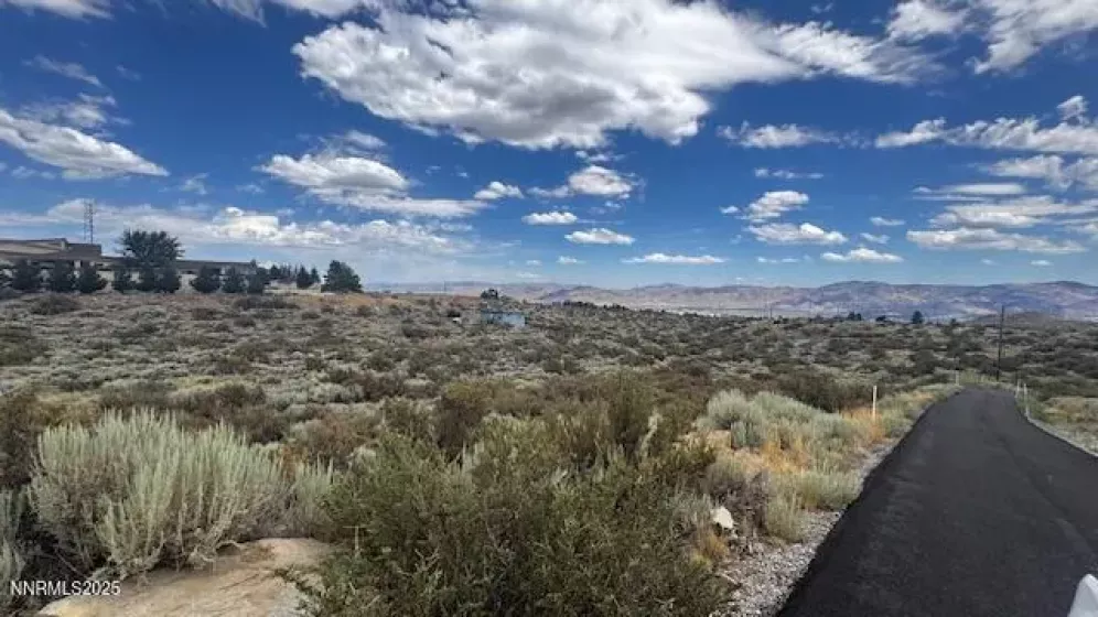 0 Mountain Daisy Rd, Reno, Nevada 89511, ,Land,Residential,Mountain Daisy Rd,250053932