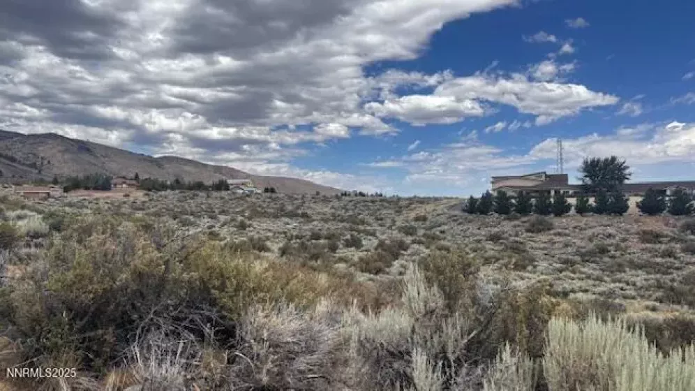 0 Mountain Daisy Rd, Reno, Nevada 89511, ,Land,Residential,Mountain Daisy Rd,250053932