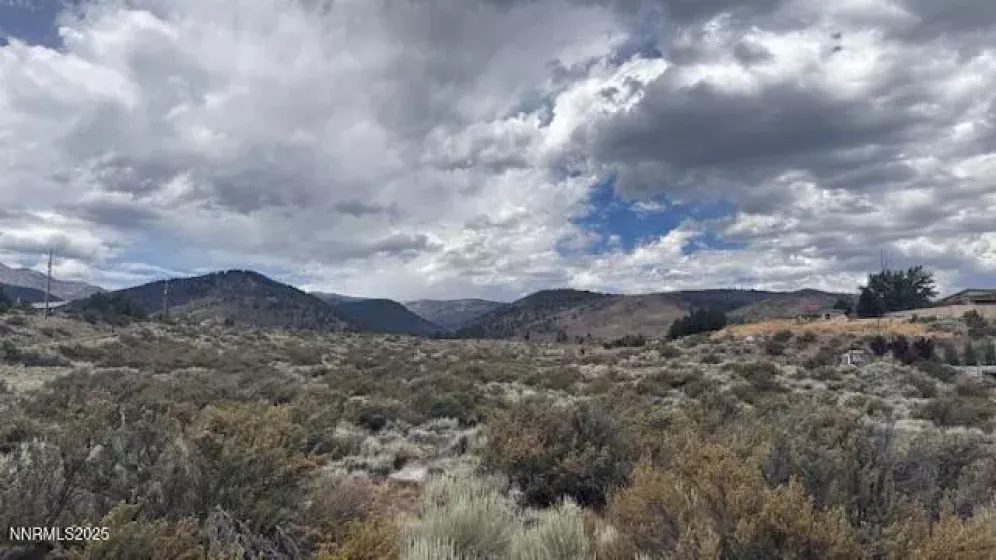 0 Mountain Daisy Rd, Reno, Nevada 89511, ,Land,Residential,Mountain Daisy Rd,250053932